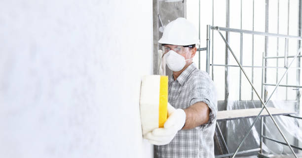 Why You Should Choose Our Mold Remediation Services in Aurora, IN