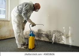 Mold Removal for HVAC Installations